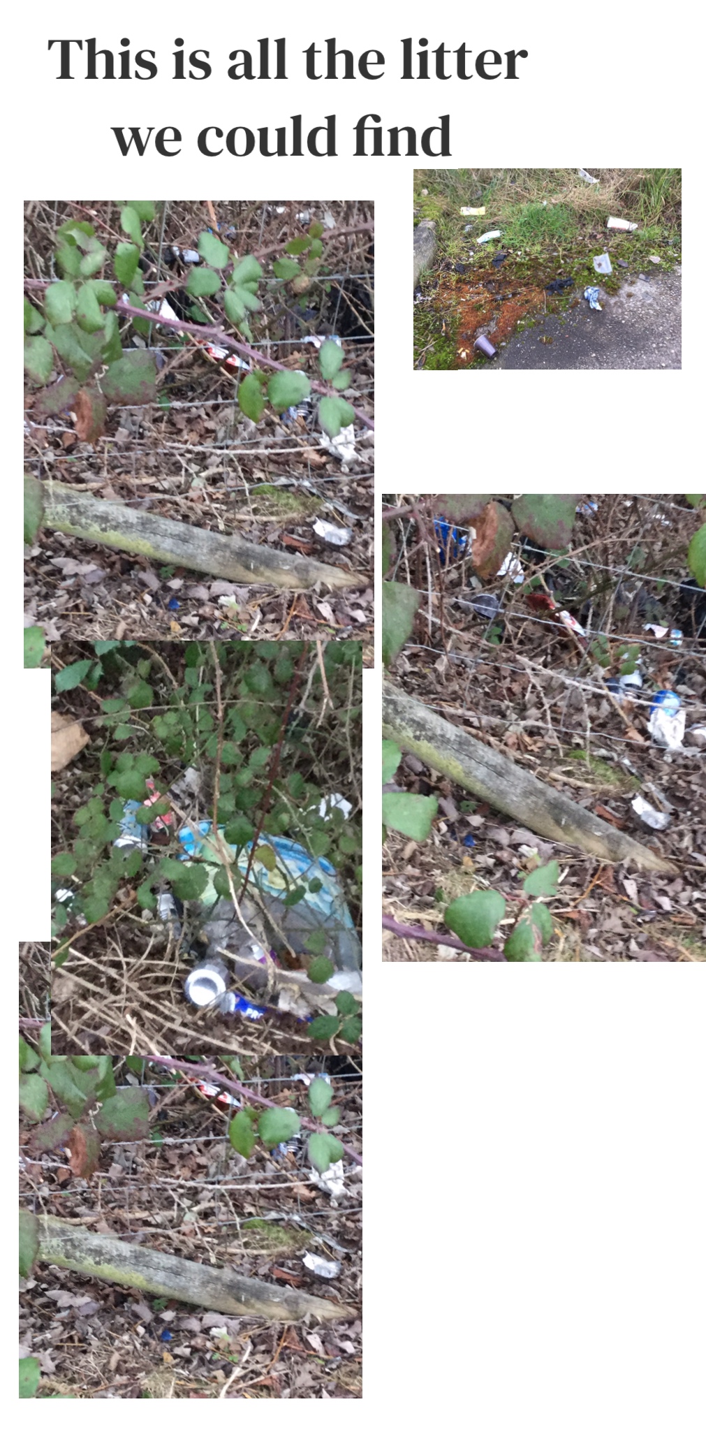 more-litter-picking