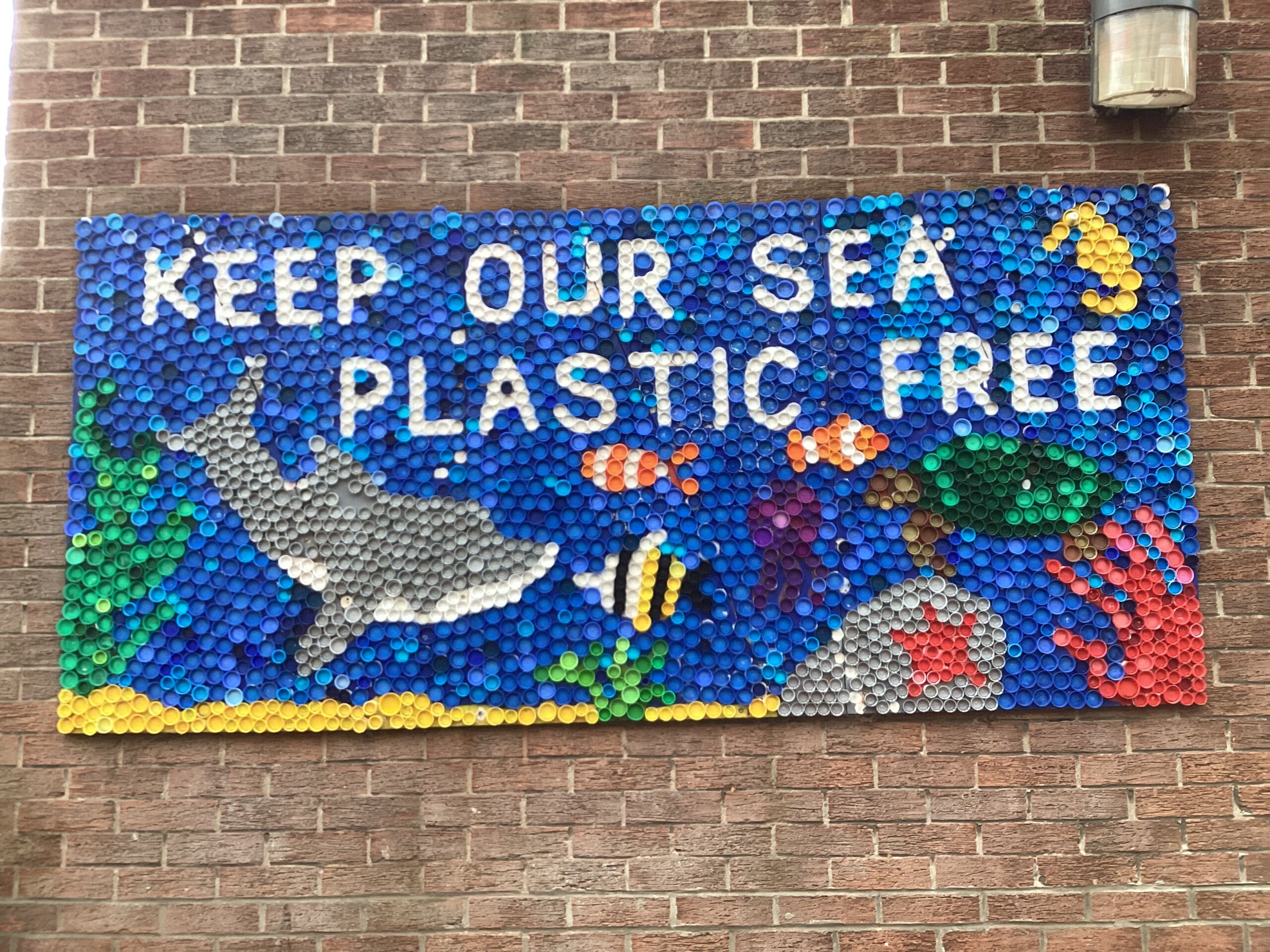 why-we-want-to-be-a-plastic-clever-school-4