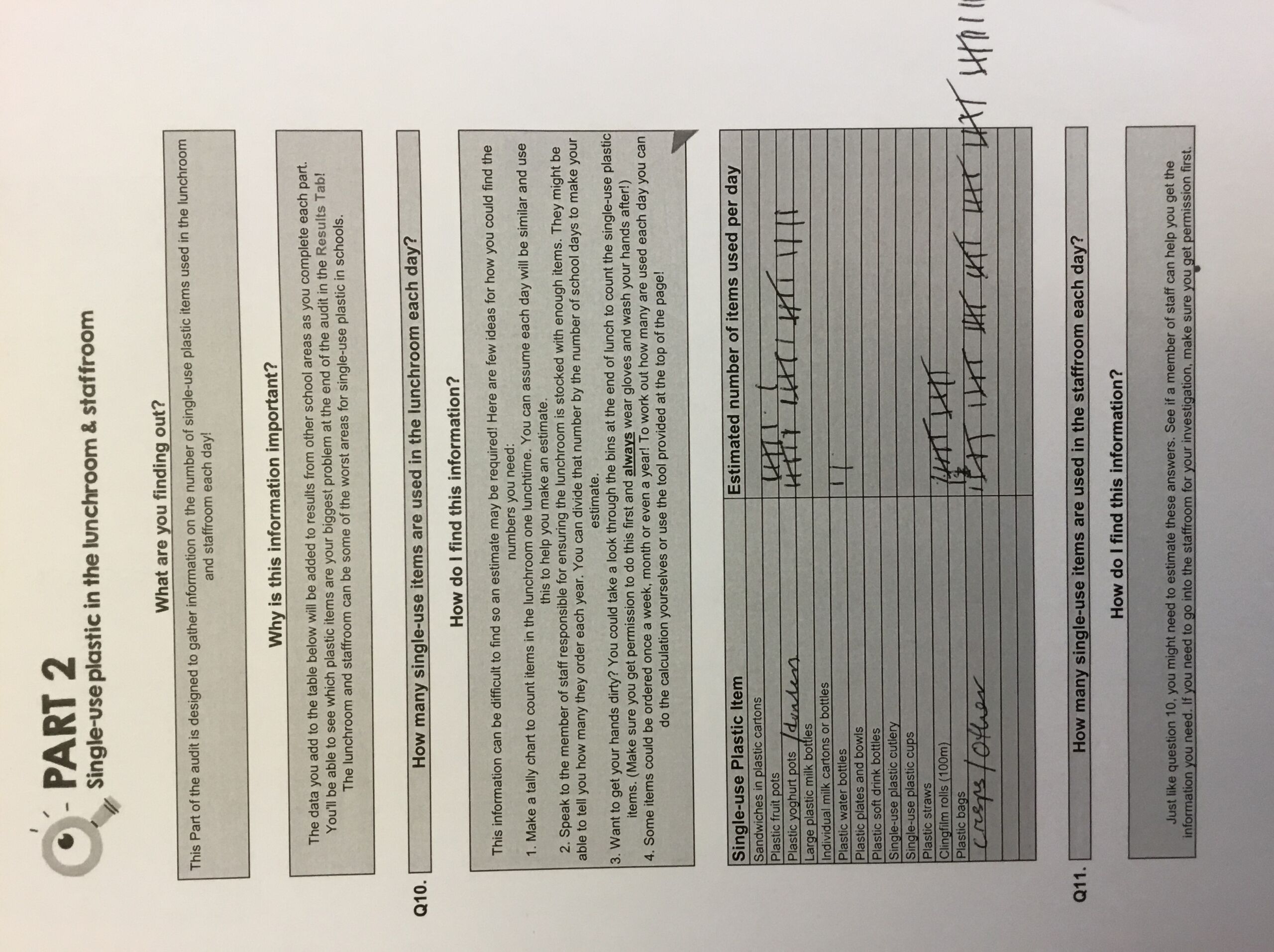 summary-of-audit